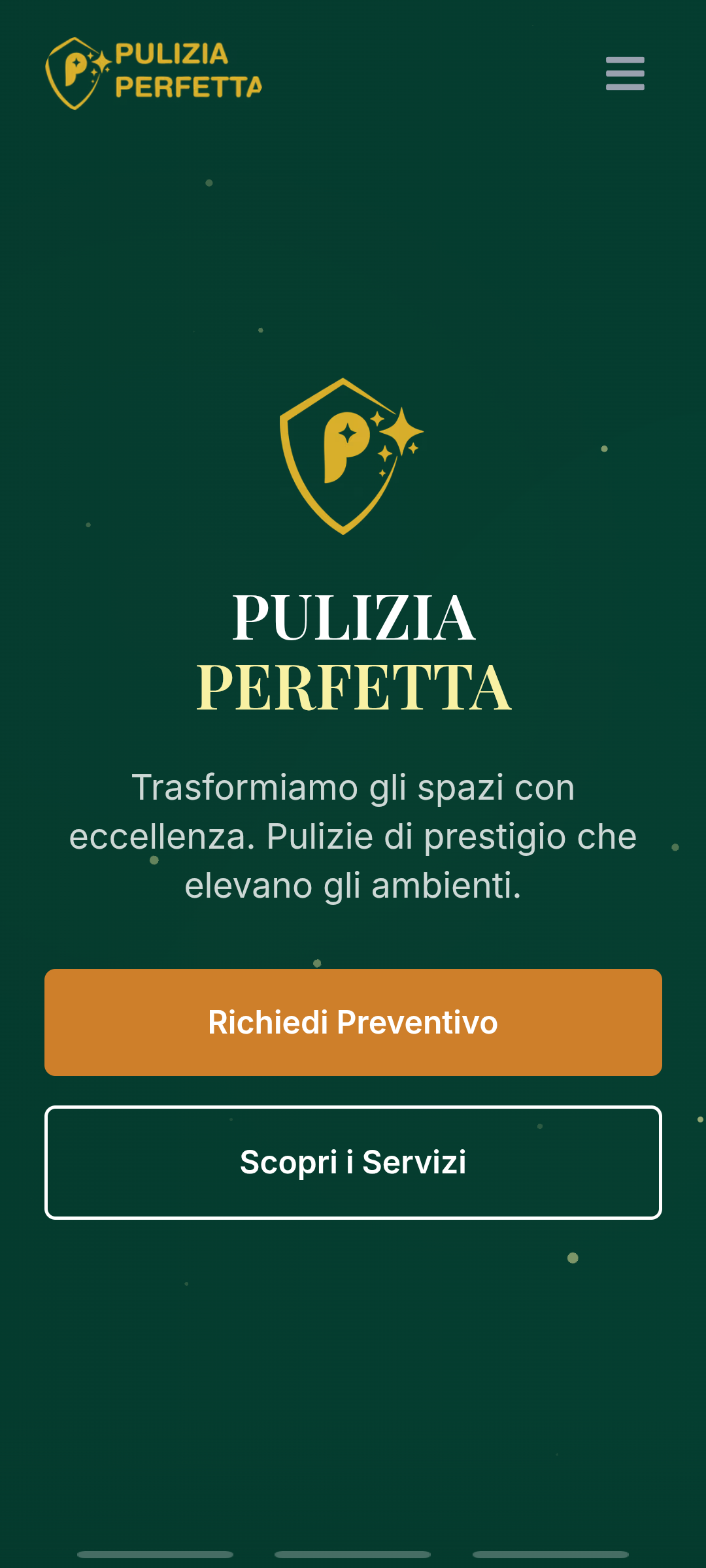 Pulizia Perfetta mobile view